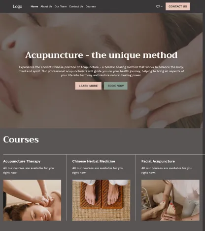 acupuncture school