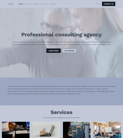 computer consulting agency