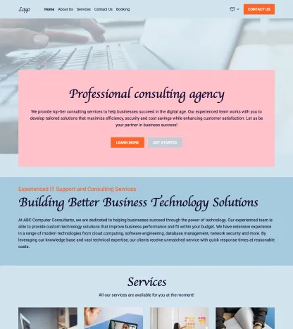 computer consulting agency