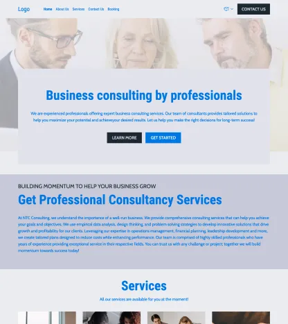 consulting company