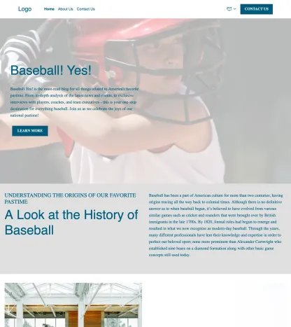 baseball blog