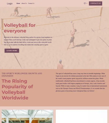 volleyball blog