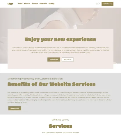 provide services