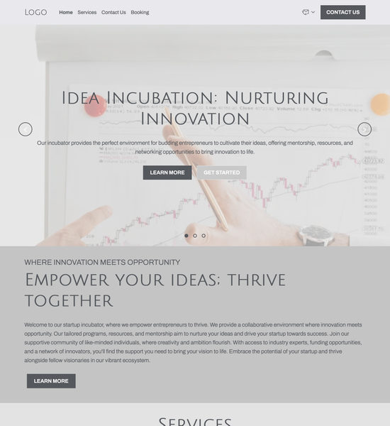 business management consultant template preview