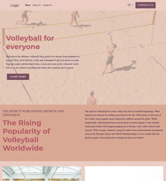 volleyball blog template preview