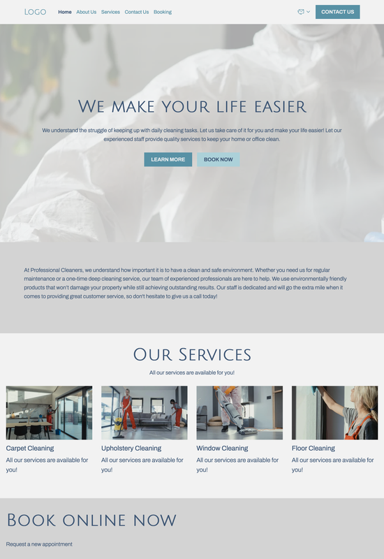 cleaning company  template preview