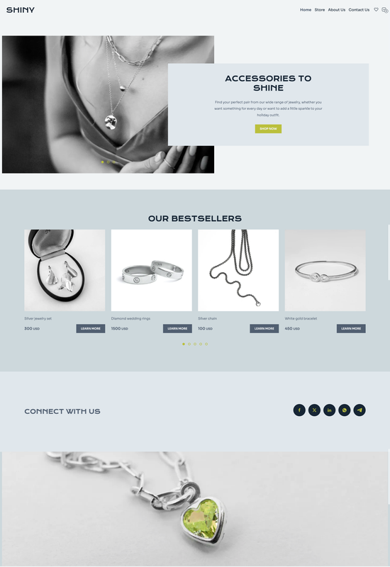 accessory store template preview